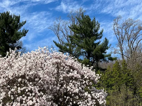 Delco’s Changing Ecology: A Walking Tour