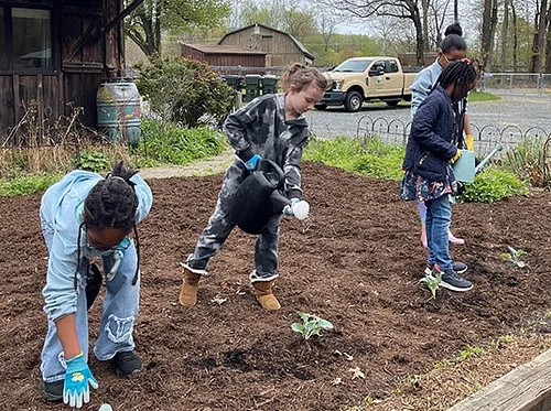 Growing in the Garden: A 3-Part Learning Series