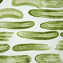 Pickle Autopsy