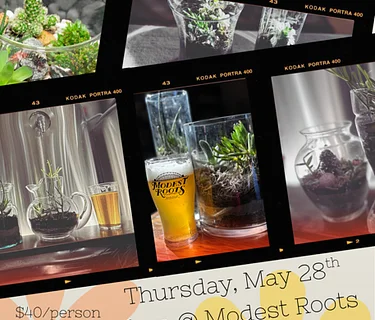 Succulent Planting with Dalton