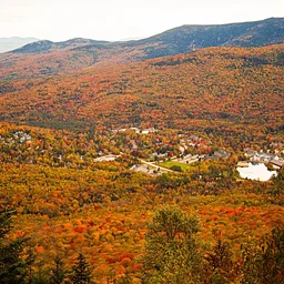 Fall Foliage Fest