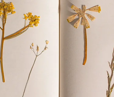 Pressed Flower Art Workshop