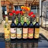 Marchesi Vineyards & Winery