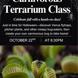 Carnivorous Terrarium Class