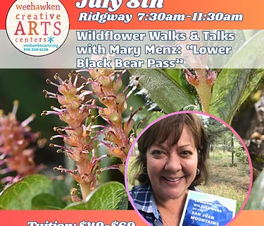 Wildflower Walk & Talk: Exploring Lower Black Bear Pass