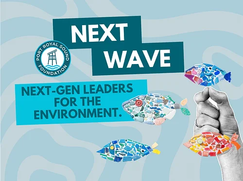 Next Wave: Magic of the Pluff Mud – Salt Marsh Monitoring & Conservation