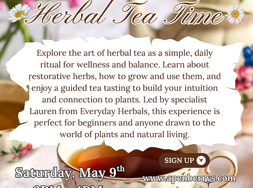 Grow, Blend, Heal: Herbal Tea Time