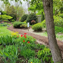 Garden Volunteer Day
