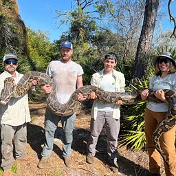 Member Evenings at the Conservancy – Progress of the Conservancy’s Burmese Python Research and Removal Efforts