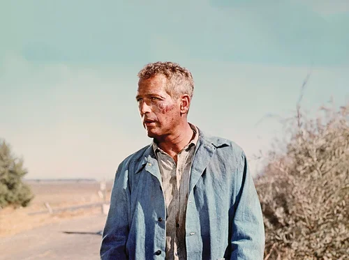 Cool Hand Luke