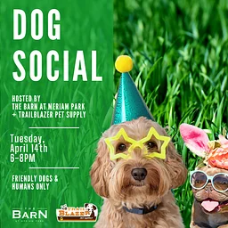 Dog Social