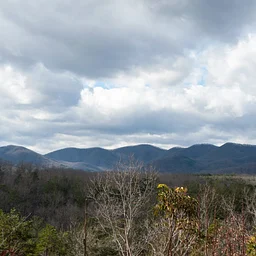Blue Ridge Ecosystems – From Ice Age to the Present