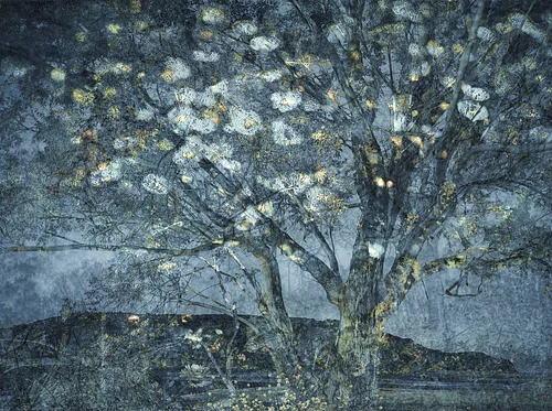 Upcoming Exhibition: A Light Exists in Spring