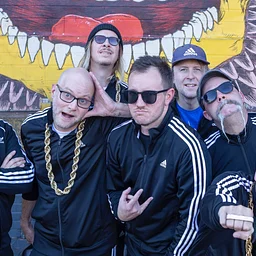 My Posse in Effect - A Tribute to the Beastie Boys