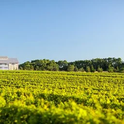 Booked & Reserved: Book Discussion Group at Kontokosta Winery