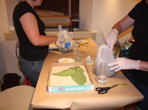 Leaf-Casting Workshop: Section B