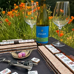 Mahjong 101 with Kitsap Majong at the Manette Wine Bar