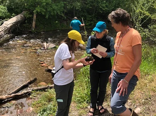 Summer Master Naturalist Course for Teachers