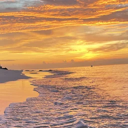 Caribbean Beach Night