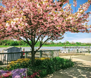 She's Outdoors: Boat Tour