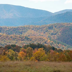 Fall Peaks Wagon Ride