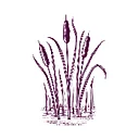 Vineyard Conservation Society
