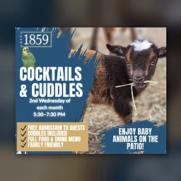 Cocktails & Cuddles