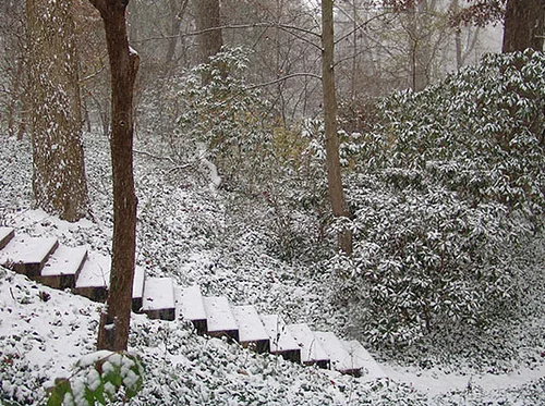 Crum Woods Winter Hike