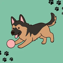 Take & Make: DIY Dog Toy