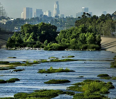 Los Angeles Chapter – Paint/Sculpt-Out at Egret Park