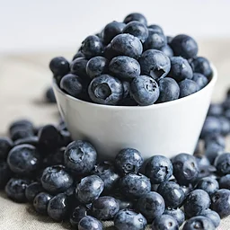 Blueberry Picking 2027 Season
