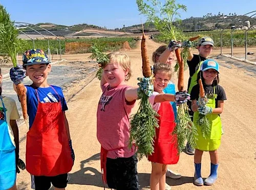Summer Farm Camp, Session 1 (June 15-June 19, 2026)