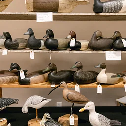 Copley Fine Art Decoy Exhibit and Auction Preview Opens