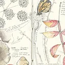 Introduction to the Perpetual Journal and Field Sketching