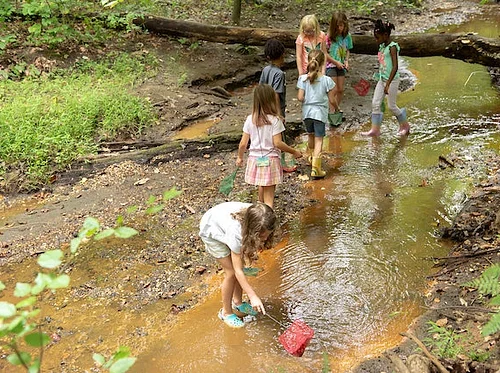 May Nature Science Club: Frogs, Toads, Newts, & Salamanders