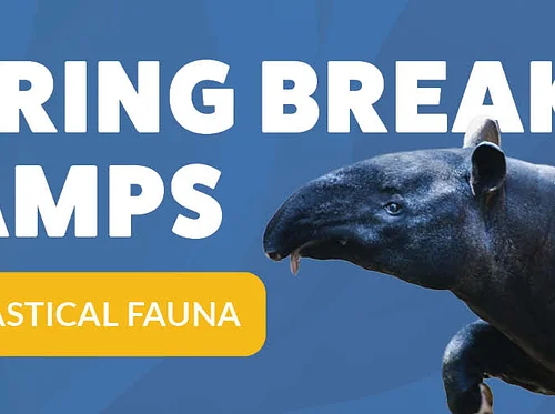 Spring Break Camp – Fantastical Fauna (SOLD OUT)