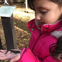 After-School Adventures, Grades 1-3 – October 2026