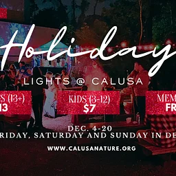 Holiday Lights