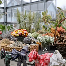 Holiday Wreath-Making Workshop