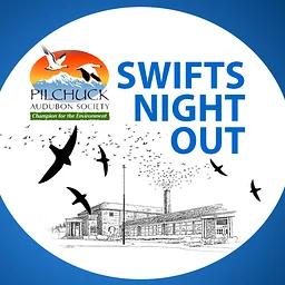 Swifts Night Out 2026