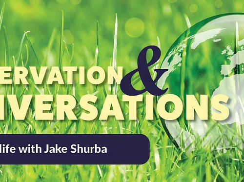 Conservation and Conversations: Urban Wildlife (Virtual)