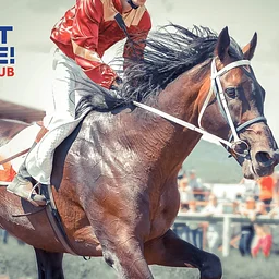 Kentucky Derby