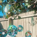 NEC Drop-in: Bird-Safe Window Craft