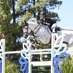 CMR In the Wild | Sip & Stroll Sacramento International Horse Show