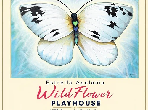 Artist Reception // Estrella Apolonia: The Gratitude Tour
