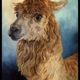 Drop In with Terry Lynn (All Levels)