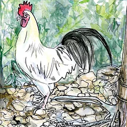 Exploring Watercolor Painting November