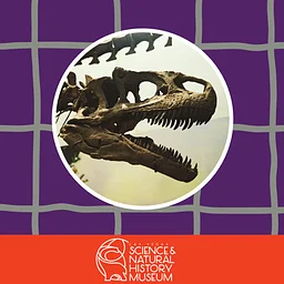 Library Fossil Lab: Build-a-Bone Creature Challenge