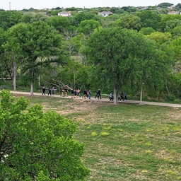 How Trees Nourish Us: An Immersive Tour of Arboretum San Antonio