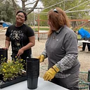 Volunteer Service Day